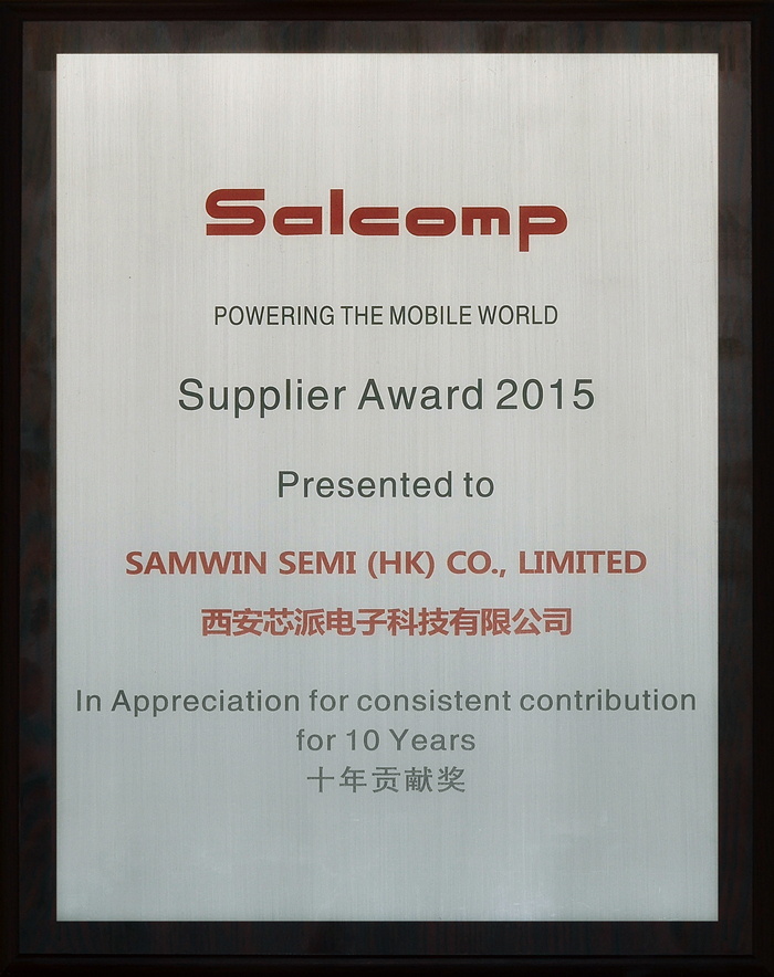 After Ten Years of Hard Work, We Are in the Same Boat - Congratulations to Xi'an Semipower for Winning Salcomp's "Ten Years Contribution Award